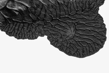 beyaz kağıt arkaplan üzerinde siyah beyaz soyut akrilik boya renk dokusu rorschach mürekkep lekesi yöntemi kullanarak