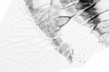 beyaz kağıt arkaplan üzerinde siyah beyaz soyut akrilik boya renk dokusu rorschach mürekkep lekesi yöntemi kullanarak