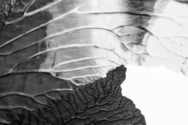 beyaz kağıt arkaplan üzerinde siyah beyaz soyut akrilik boya renk dokusu rorschach mürekkep lekesi yöntemi kullanarak