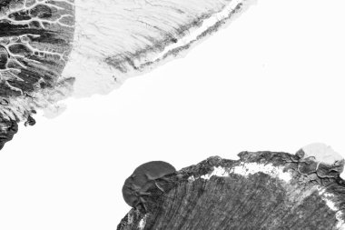 beyaz kağıt arkaplan üzerinde siyah beyaz soyut akrilik boya renk dokusu rorschach mürekkep lekesi yöntemi kullanarak