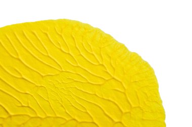 mavi kırmızı soyut akrilik boya renk dokusu beyaz zemin üzerinde mürekkep lekesi yöntemi kullanarak