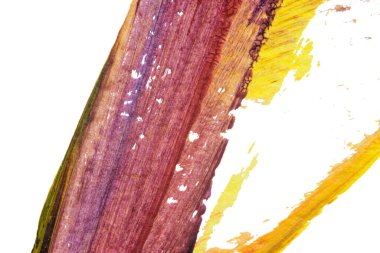 mavi kırmızı soyut akrilik boya renk dokusu beyaz zemin üzerinde mürekkep lekesi yöntemi kullanarak