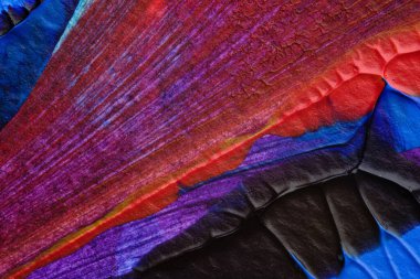 mavi kırmızı soyut akrilik boya renk dokusu beyaz zemin üzerinde mürekkep lekesi yöntemi kullanarak