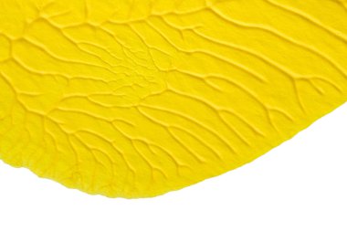 mavi kırmızı soyut akrilik boya renk dokusu beyaz zemin üzerinde mürekkep lekesi yöntemi kullanarak