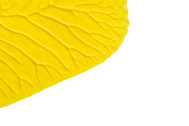 mavi kırmızı soyut akrilik boya renk dokusu beyaz zemin üzerinde mürekkep lekesi yöntemi kullanarak