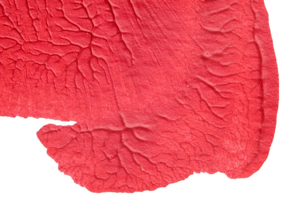 mavi kırmızı soyut akrilik boya renk dokusu beyaz zemin üzerinde mürekkep lekesi yöntemi kullanarak