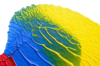 mavi kırmızı soyut akrilik boya renk dokusu beyaz zemin üzerinde mürekkep lekesi yöntemi kullanarak