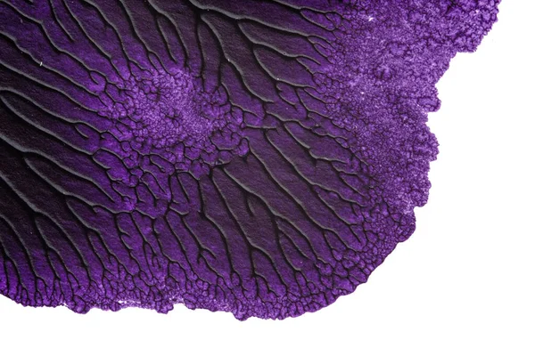 mavi kırmızı soyut akrilik boya renk dokusu beyaz zemin üzerinde mürekkep lekesi yöntemi kullanarak