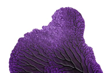 mavi kırmızı soyut akrilik boya renk dokusu beyaz zemin üzerinde mürekkep lekesi yöntemi kullanarak