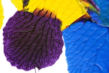 mavi kırmızı soyut akrilik boya renk dokusu beyaz zemin üzerinde mürekkep lekesi yöntemi kullanarak