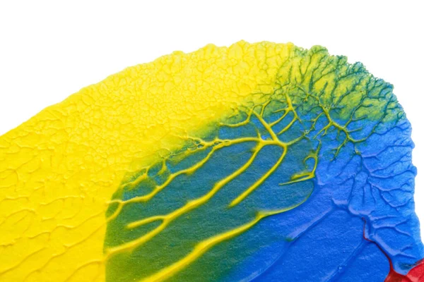 mavi kırmızı soyut akrilik boya renk dokusu beyaz zemin üzerinde mürekkep lekesi yöntemi kullanarak