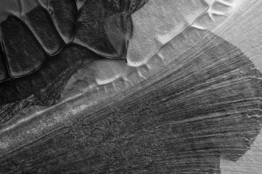 beyaz kağıt arkaplan üzerinde siyah beyaz soyut akrilik boya renk dokusu rorschach mürekkep lekesi yöntemi kullanarak