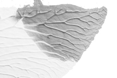 beyaz kağıt arkaplan üzerinde siyah beyaz soyut akrilik boya renk dokusu rorschach mürekkep lekesi yöntemi kullanarak