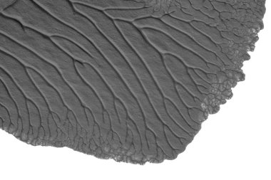 beyaz kağıt arkaplan üzerinde siyah beyaz soyut akrilik boya renk dokusu rorschach mürekkep lekesi yöntemi kullanarak