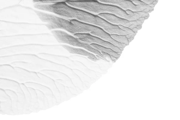 Černá Bílá Abstraktní Akrylová Malba Barva Textura Bílém Papíře Pozadí — Stock fotografie