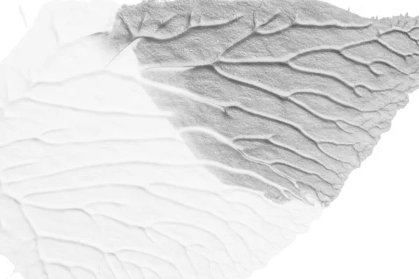 Ασπρόμαυρο Αφηρημένο Ακρυλικό Χρώμα Ζωγραφική Υφή Λευκό Φόντο Χαρτί Χρήση — Φωτογραφία Αρχείου