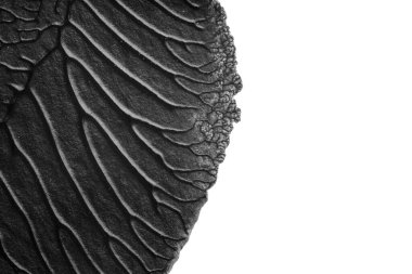 beyaz kağıt arkaplan üzerinde siyah beyaz soyut akrilik boya renk dokusu rorschach mürekkep lekesi yöntemi kullanarak