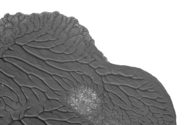 beyaz kağıt arkaplan üzerinde siyah beyaz soyut akrilik boya renk dokusu rorschach mürekkep lekesi yöntemi kullanarak