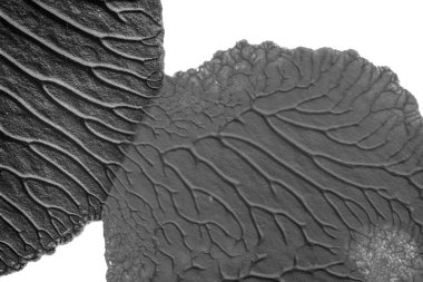 beyaz kağıt arkaplan üzerinde siyah beyaz soyut akrilik boya renk dokusu rorschach mürekkep lekesi yöntemi kullanarak