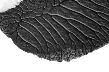 beyaz kağıt arkaplan üzerinde siyah beyaz soyut akrilik boya renk dokusu rorschach mürekkep lekesi yöntemi kullanarak