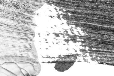 beyaz kağıt arkaplan üzerinde siyah beyaz soyut akrilik boya renk dokusu rorschach mürekkep lekesi yöntemi kullanarak