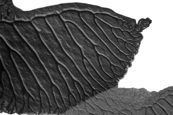 beyaz kağıt arkaplan üzerinde siyah beyaz soyut akrilik boya renk dokusu rorschach mürekkep lekesi yöntemi kullanarak