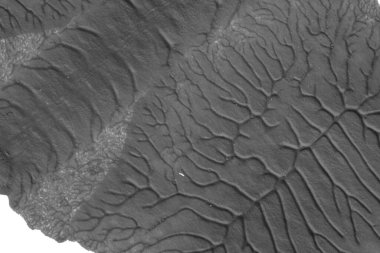 beyaz kağıt arkaplan üzerinde siyah beyaz soyut akrilik boya renk dokusu rorschach mürekkep lekesi yöntemi kullanarak