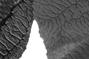 beyaz kağıt arkaplan üzerinde siyah beyaz soyut akrilik boya renk dokusu rorschach mürekkep lekesi yöntemi kullanarak