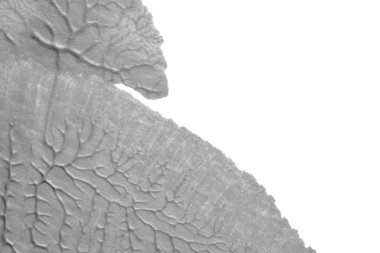 beyaz kağıt arkaplan üzerinde siyah beyaz soyut akrilik boya renk dokusu rorschach mürekkep lekesi yöntemi kullanarak