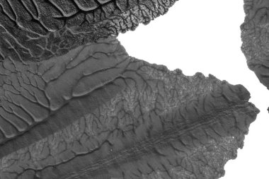 beyaz kağıt arkaplan üzerinde siyah beyaz soyut akrilik boya renk dokusu rorschach mürekkep lekesi yöntemi kullanarak