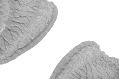 beyaz kağıt arkaplan üzerinde siyah beyaz soyut akrilik boya renk dokusu rorschach mürekkep lekesi yöntemi kullanarak