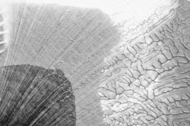 beyaz kağıt arkaplan üzerinde siyah beyaz soyut akrilik boya renk dokusu rorschach mürekkep lekesi yöntemi kullanarak