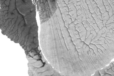 beyaz kağıt arkaplan üzerinde siyah beyaz soyut akrilik boya renk dokusu rorschach mürekkep lekesi yöntemi kullanarak