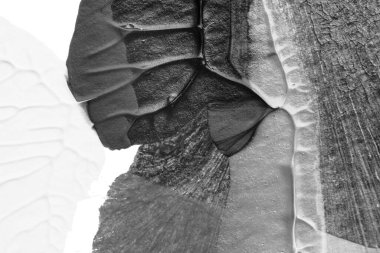 beyaz kağıt arkaplan üzerinde siyah beyaz soyut akrilik boya renk dokusu rorschach mürekkep lekesi yöntemi kullanarak