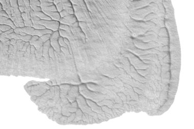 beyaz kağıt arkaplan üzerinde siyah beyaz soyut akrilik boya renk dokusu rorschach mürekkep lekesi yöntemi kullanarak