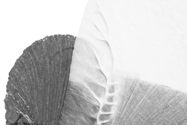 Beyaz Kağıt Arkaplan Üzerinde Siyah Beyaz Soyut Akrilik Boya Renk — Stok fotoğraf
