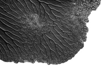 beyaz kağıt arkaplan üzerinde siyah beyaz soyut akrilik boya renk dokusu rorschach mürekkep lekesi yöntemi kullanarak