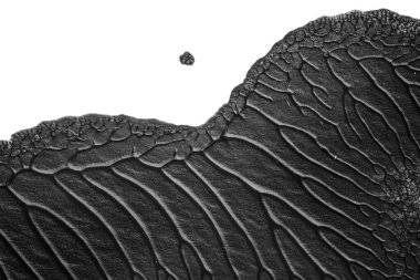 beyaz kağıt arkaplan üzerinde siyah beyaz soyut akrilik boya renk dokusu rorschach mürekkep lekesi yöntemi kullanarak