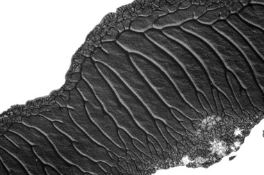 beyaz kağıt arkaplan üzerinde siyah beyaz soyut akrilik boya renk dokusu rorschach mürekkep lekesi yöntemi kullanarak
