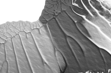 beyaz kağıt arkaplan üzerinde siyah beyaz soyut akrilik boya renk dokusu rorschach mürekkep lekesi yöntemi kullanarak