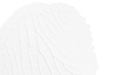 beyaz kağıt arkaplan üzerinde siyah beyaz soyut akrilik boya renk dokusu rorschach mürekkep lekesi yöntemi kullanarak