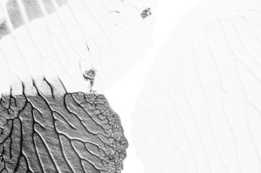 beyaz kağıt arkaplan üzerinde siyah beyaz soyut akrilik boya renk dokusu rorschach mürekkep lekesi yöntemi kullanarak