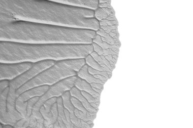 beyaz kağıt arkaplan üzerinde siyah beyaz soyut akrilik boya renk dokusu rorschach mürekkep lekesi yöntemi kullanarak