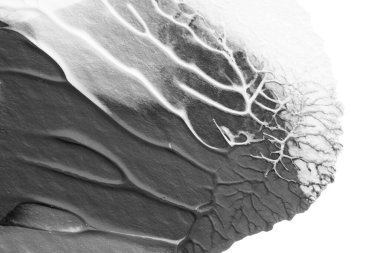 beyaz kağıt arkaplan üzerinde siyah beyaz soyut akrilik boya renk dokusu rorschach mürekkep lekesi yöntemi kullanarak