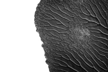 beyaz kağıt arkaplan üzerinde siyah beyaz soyut akrilik boya renk dokusu rorschach mürekkep lekesi yöntemi kullanarak