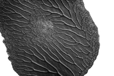 beyaz kağıt arkaplan üzerinde siyah beyaz soyut akrilik boya renk dokusu rorschach mürekkep lekesi yöntemi kullanarak