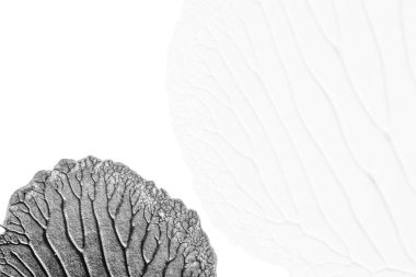 beyaz kağıt arkaplan üzerinde siyah beyaz soyut akrilik boya renk dokusu rorschach mürekkep lekesi yöntemi kullanarak