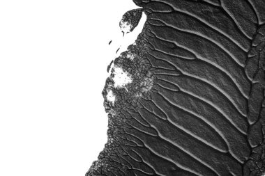 beyaz kağıt arkaplan üzerinde siyah beyaz soyut akrilik boya renk dokusu rorschach mürekkep lekesi yöntemi kullanarak