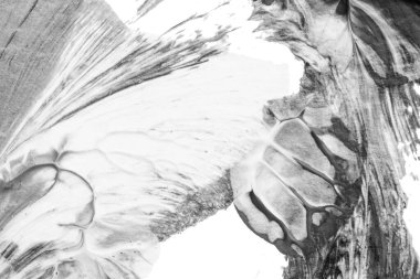 beyaz kağıt arkaplan üzerinde siyah beyaz soyut akrilik boya renk dokusu rorschach mürekkep lekesi yöntemi kullanarak