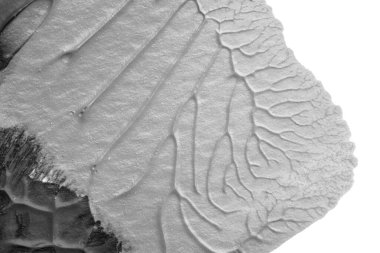 beyaz kağıt arkaplan üzerinde siyah beyaz soyut akrilik boya renk dokusu rorschach mürekkep lekesi yöntemi kullanarak